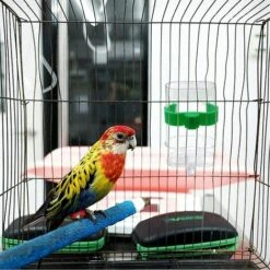 LTS FAFA 2 X Distributeur D'eau Pour Oiseaux Mangeoire Automatique Abreuvoir Pour Oiseaux Abreuvoir Pour Oiseaux -Polire Soldes Boutique 56640300 4