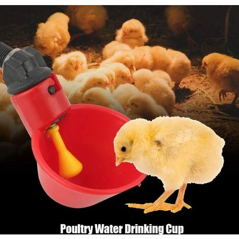 HKLFFJA 10 Pièces Automatique Pour Volaille Tasses à Boire De L'eau De Volaille Mangeoire à Oiseaux Abreuvoir En Plastique Automatique Pour Poulet Poule Poulailler Poulailler Arc D'alimentation 2 HKLFFJA 10 Pièces Automatique Pour Volaille Tasses à Boire De L'eau De Volaille Mangeoire à Oiseaux Abreuvoir En Plastique Automatique Pour Poulet Poule Poulailler Poulailler Arc D'alimentation – Image 2