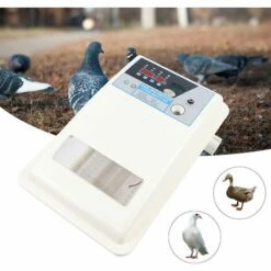 GOJOY Couveuse Automatique De 24 œufs De Poules à Affichage Digital De La Température 39 * 25 * 13 Cm Incubateur Automatique Mini Pour Couver Poule Canard Caille œufs De Canard -Polire Soldes Boutique 57331724 3