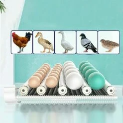 GOJOY Couveuse Automatique De 24 œufs De Poules à Affichage Digital De La Température 39 * 25 * 13 Cm Incubateur Automatique Mini Pour Couver Poule Canard Caille œufs De Canard -Polire Soldes Boutique 57331724 5