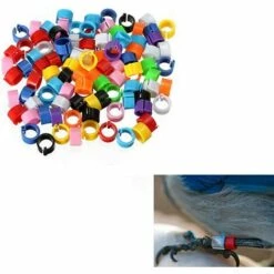 MACARON Couleurs Mélangées Bague Pour Pied D’oiseaux Bague Plastique Pour Pigeon Poussin Bantam Petit Volaille 100 Pcs LO-Ron -Polire Soldes Boutique 57779706 4