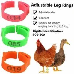 MACARON Poulet Taille De L'anneau Réglable Volaille Jambe Étiquette Numérique Boucle Bague Pour Canard Volaille Poulet Fournitures Agricoles 100 Pièces LO-Ron -Polire Soldes Boutique 57779731 3