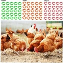 MACARON Poulet Taille De L'anneau Réglable Volaille Jambe Étiquette Numérique Boucle Bague Pour Canard Volaille Poulet Fournitures Agricoles 100 Pièces LO-Ron -Polire Soldes Boutique 57779731 5