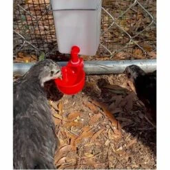 REGALI Lot De 6 Arroseurs Automatiques Pour Volaille, Poules, Canards, Dindes, Coqs, Grilles, Tasse D'eau Pour Volailles, Volailles, Poules, Volailles, Poules, Coqs, Grils -Polire Soldes Boutique 57964116 3