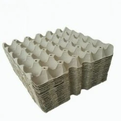 Thsinde Collier De Poulet Anti Crochet Collier De Coq Collier Coq Collier Poulet Réglable Empêche Les Poulets De Crier Dérangeant Les Voisins Collier Collier Pour Coq--rouge Cinq Paires