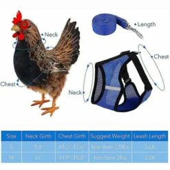 Ensoleillé Harnais De Poulet Réglable Avec Laisse - Gilet De Poule Confortable En Maille Respirante -Polire Soldes Boutique 58658479 3