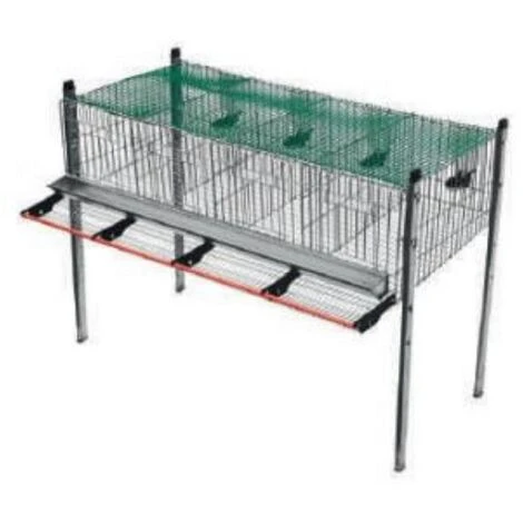 GOMEZ Y CRESPO Mangeoire Suspendue Dans Cage à Cailles, 1 M 3 GOMEZ Y CRESPO Mangeoire Suspendue Dans Cage à Cailles, 1 M – Image 3