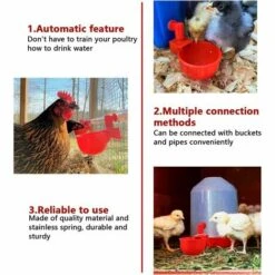 LTS FAFA 6pcs Automatiques Supplies Abreuvoir Poules Tasses à Bol Bol En Plastique, Volailles Distributeurs D'eau Automatique De L'eau Potable Tasses Pour Poussins Cailles Canards Bird -Polire Soldes Boutique 59304314 3