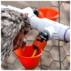 STARLIGHT Ferme Automatique Abreuvoir De Poulet Tasses Volaille Potable Oiseau Abreuvoir Coop Oiseau Abreuvoir (Rouge (12 Pcs),STAR.L -Polire Soldes Boutique 60065131 5