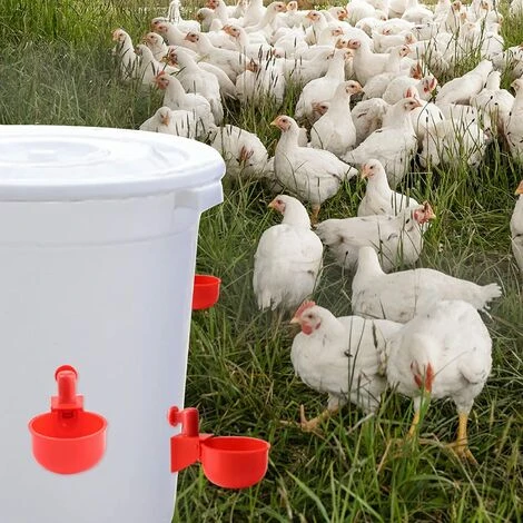 HEGUYEY 12pcs 3/8 Pouces Abreuvoirs Automatiques, Abreuvoir Poulet Abreuvoir Automatique Poule Tasse D'Abreuvoir De Poulet Mangeoire D'eau De Poulet Pour Poulet Canards Oiseaux Dindes 5 HEGUYEY 12pcs 3/8 Pouces Abreuvoirs Automatiques, Abreuvoir Poulet Abreuvoir Automatique Poule Tasse D'Abreuvoir De Poulet Mangeoire D'eau De Poulet Pour Poulet Canards Oiseaux Dindes – Image 5