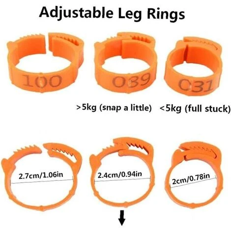 ROSIER 100 Pièces De Poulet Taille De L'anneau Réglable Volaille Jambe Numérique Étiquette Boucle Bague Pour Poulet Canard Volaille Fournitures Ferme (rouge, Lettrage)——VEBTles 5 ROSIER 100 Pièces De Poulet Taille De L'anneau Réglable Volaille Jambe Numérique Étiquette Boucle Bague Pour Poulet Canard Volaille Fournitures Ferme (rouge, Lettrage)——VEBTles – Image 5