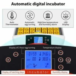 BAMNY Incubateur Entièrement Automatique 55 œufs Couveuse Numérique Avec Rotation Automatique Des œufs Et Contrôle De La Température Et De L'humidité Pour Poules, Canards, Cailles, Oies, œufs à Poulet -Polire Soldes Boutique 60359866 3