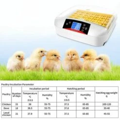 BAMNY Incubateur Entièrement Automatique 55 œufs Couveuse Numérique Avec Rotation Automatique Des œufs Et Contrôle De La Température Et De L'humidité Pour Poules, Canards, Cailles, Oies, œufs à Poulet -Polire Soldes Boutique 60359866 5