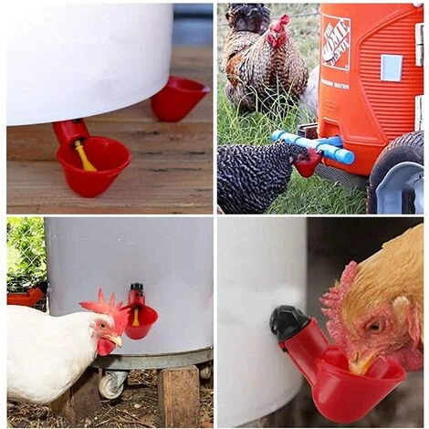 DENUOTOP Volaille Automatique Abreuvoir,6 PCS Buveur De Volaille,Poulet Abreuvoir D'eau,Buveurs Automatiques Abreuvoirs En Plastique Rouge Backyards Canard Oiseau Caille Pigeon Poule Alimentation D'eau Bol 3 DENUOTOP Volaille Automatique Abreuvoir,6 PCS Buveur De Volaille,Poulet Abreuvoir D'eau,Buveurs Automatiques Abreuvoirs En Plastique Rouge Backyards Canard Oiseau Caille Pigeon Poule Alimentation D'eau Bol – Image 3