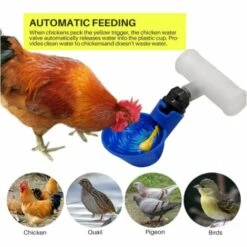 Yoouyida 12 Pièces Abreuvoir Poules Tasses Plastique Bol Abreuvoir Automatique Pour Poules Oiseaux Cailles Volailles Distributeurs D'eau（bleu） -Polire Soldes Boutique 60652111 5
