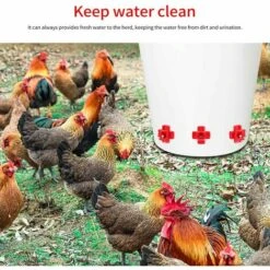 Yoouyida à Eau De Volaille, Abreuvoir Automatique Pour Tétine De Poulet Avec Montage Latéral Horizontal, Abreuvoir Pour Poulets Deau, Lot De 12 9 Yoouyida à Eau De Volaille, Abreuvoir Automatique Pour Tétine De Poulet Avec Montage Latéral Horizontal, Abreuvoir Pour Poulets Deau, Lot De 12 -Polire Soldes Boutique 60652207 5