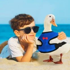 STARLIGHT 2 Pièces Harnais De Poulet Set, SL.GT Laisse Pour Poule Réglable, Harnais Respirant Chiot, Ajustable Harnet Petit Animal, Harnai Poulet Anti Traction -Polire Soldes Boutique 60885557 5