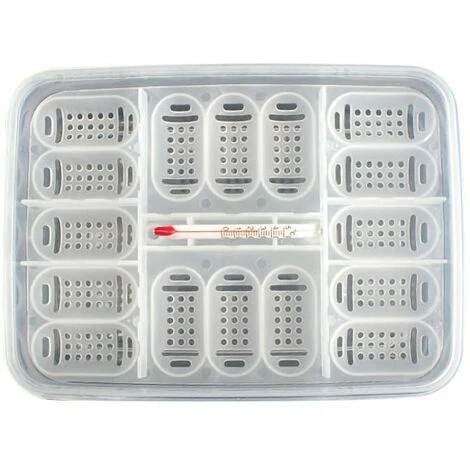 LIFCAUSAL Plateau à Oeufs De Reptiles Boîte à Oeufs De Reptile Boîte D'élevage De Reptiles Boîte D'incubation De Reptiles Convient à L'éclosion De Lézards De Serpents Reptiles Avec Thermomètre 3 LIFCAUSAL Plateau à Oeufs De Reptiles Boîte à Oeufs De Reptile Boîte D'élevage De Reptiles Boîte D'incubation De Reptiles Convient à L'éclosion De Lézards De Serpents Reptiles Avec Thermomètre – Image 3