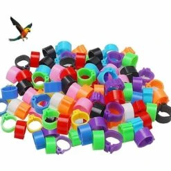 FR-LIFE BR-Vie Bague Pour Pied D’Oiseaux Anneau D'Identification En Plastique Pigeon Bague 8mm Anneaux De Pied Pour Oiseaux Pour Marquage Fermes Élevage Depoussins De Caille De Perroquet Oiseaux Volailles, 100 Pièces