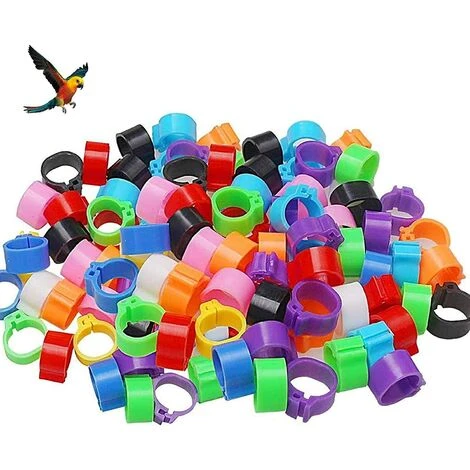 FR-LIFE BR-Vie Bague Pour Pied D’Oiseaux Anneau D'Identification En Plastique Pigeon Bague 8mm Anneaux De Pied Pour Oiseaux Pour Marquage Fermes Élevage Depoussins De Caille De Perroquet Oiseaux Volailles, 100 Pièces 1 FR-LIFE BR-Vie Bague Pour Pied D’Oiseaux Anneau D'Identification En Plastique Pigeon Bague 8mm Anneaux De Pied Pour Oiseaux Pour Marquage Fermes Élevage Depoussins De Caille De Perroquet Oiseaux Volailles, 100 Pièces