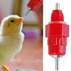 SLI-RES Tetine Abreuvoir Poules Tetine Automatique Pour Poule Volaille Poulet Canard Distributeur D'eau Le Style Vis à Vis élevage Alimentation Du Bétail Abreuver équipement 5.2*1.5cm (Rouge) 6 Pcs，Lilaris -Polire Soldes Boutique 61346378 3