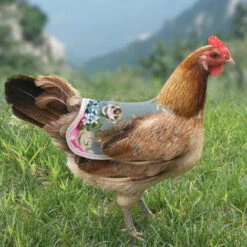 SLI-RES Tablier Poulet Selle Volaille, Selle De Poulet Poule Tablier De Poulet Pour Poule De Volaille Protecteur Dorsal D'Aile Pour Volaille Gilets De SéCurité Pour Poulet Pour Petits Animaux Volaille 21*18*0.3cm (Mélanger) 2 Pcs，Lilaris -Polire Soldes Boutique 61346394 3