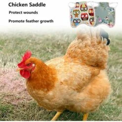 SLI-RES Tablier Poulet Selle Volaille, Selle De Poulet Poule Tablier De Poulet Pour Poule De Volaille Protecteur Dorsal D'Aile Pour Volaille Gilets De SéCurité Pour Poulet Pour Petits Animaux Volaille 21*18*0.3cm (Mélanger) 2 Pcs，Lilaris -Polire Soldes Boutique 61346394 4