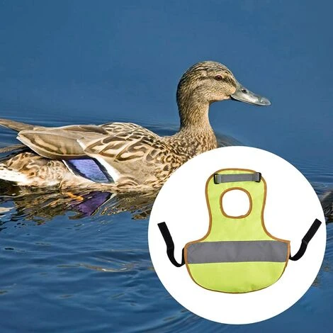 REGALI Gilet De Canard De Poulet - Gilet Réfléchissant Pour Animaux De Compagnie Vêtements De Poulet De Volaille Tablier De Selle De Poule 5 REGALI Gilet De Canard De Poulet - Gilet Réfléchissant Pour Animaux De Compagnie Vêtements De Poulet De Volaille Tablier De Selle De Poule – Image 5