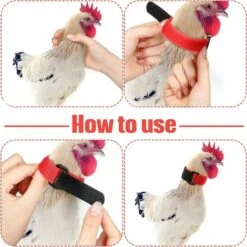 REGALI 4 Pièces Colliers De Poulet Colliers De Coq Colliers De Poulet Réglables Empêchent Les Poulets Hurlants D'ennuyer Les Voisins -Polire Soldes Boutique 61580780 4