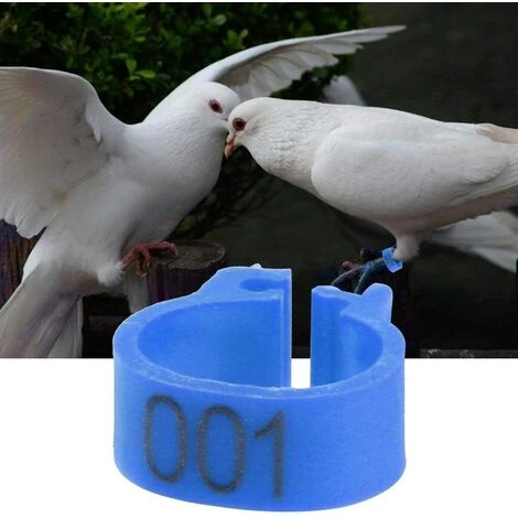 GESCHENKE 100 Pièces Anneaux De Poule, Anneaux D'Oiseau Anneaux De Pigeon De Volaille En Plastique Pour Poussins Canards (Bleu) 1 GESCHENKE 100 Pièces Anneaux De Poule, Anneaux D'Oiseau Anneaux De Pigeon De Volaille En Plastique Pour Poussins Canards (Bleu)