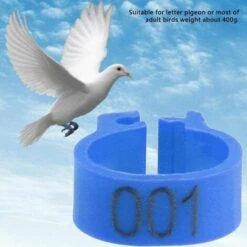 GESCHENKE 100 Pièces Anneaux De Poule, Anneaux D'Oiseau Anneaux De Pigeon De Volaille En Plastique Pour Poussins Canards (Bleu) 7 GESCHENKE 100 Pièces Anneaux De Poule, Anneaux D'Oiseau Anneaux De Pigeon De Volaille En Plastique Pour Poussins Canards (Bleu) -Polire Soldes Boutique 61583594 3