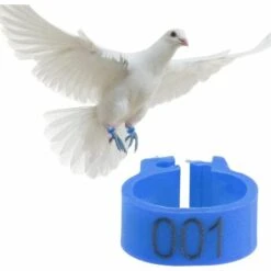GESCHENKE 100 Pièces Anneaux De Poule, Anneaux D'Oiseau Anneaux De Pigeon De Volaille En Plastique Pour Poussins Canards (Bleu) 8 GESCHENKE 100 Pièces Anneaux De Poule, Anneaux D'Oiseau Anneaux De Pigeon De Volaille En Plastique Pour Poussins Canards (Bleu) -Polire Soldes Boutique 61583594 4