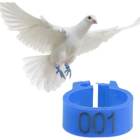 GESCHENKE 100 Pièces Anneaux De Poule, Anneaux D'Oiseau Anneaux De Pigeon De Volaille En Plastique Pour Poussins Canards (Bleu) 4 GESCHENKE 100 Pièces Anneaux De Poule, Anneaux D'Oiseau Anneaux De Pigeon De Volaille En Plastique Pour Poussins Canards (Bleu) – Image 4