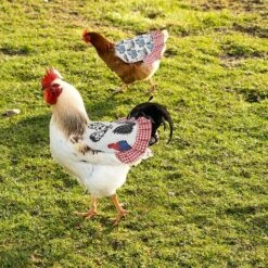 REGALI Lot De 4 Tabliers De Poule De Selle De Poule Standard Avec Protection De L'aile Arrière De La Volaille à Bande élastique