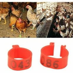 REGALOS 100 Pièces Poulet Anneau Taille Réglable Volaille Jambes Numéro étiquette Boucle Boucle Canard Volaille Poulet Fournitures（rouge）