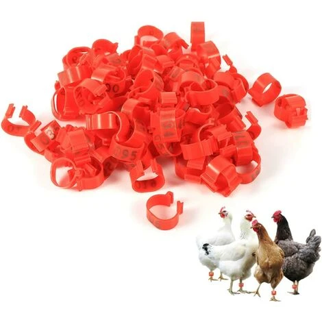 REGALOS 100 Pièces Poulet Anneau Taille Réglable Volaille Jambes Numéro étiquette Boucle Boucle Canard Volaille Poulet Fournitures(rouge) 2 REGALOS 100 Pièces Poulet Anneau Taille Réglable Volaille Jambes Numéro étiquette Boucle Boucle Canard Volaille Poulet Fournitures(rouge) – Image 2