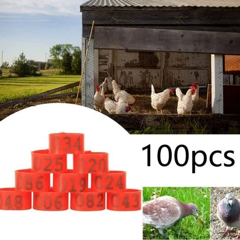 REGALOS 100 Pièces Poulet Anneau Taille Réglable Volaille Jambes Numéro étiquette Boucle Boucle Canard Volaille Poulet Fournitures(rouge) 4 REGALOS 100 Pièces Poulet Anneau Taille Réglable Volaille Jambes Numéro étiquette Boucle Boucle Canard Volaille Poulet Fournitures(rouge) – Image 4
