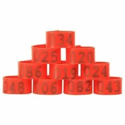 REGALOS 100 Pièces Poulet Anneau Taille Réglable Volaille Jambes Numéro étiquette Boucle Boucle Canard Volaille Poulet Fournitures(rouge) 9 REGALOS 100 Pièces Poulet Anneau Taille Réglable Volaille Jambes Numéro étiquette Boucle Boucle Canard Volaille Poulet Fournitures(rouge) -Polire Soldes Boutique 61654407 5