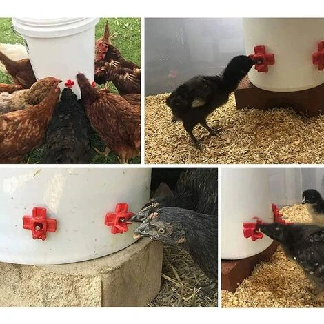 REGALOS 10 Pièces Abreuvoir De Poulet En Plastique Et En Acier Inoxydable 304 Abreuvoir Automatique De Mamelon De Poulet 32.5x34mm Abreuvoir D'oie De Poulet 4 REGALOS 10 Pièces Abreuvoir De Poulet En Plastique Et En Acier Inoxydable 304 Abreuvoir Automatique De Mamelon De Poulet 32.5x34mm Abreuvoir D'oie De Poulet – Image 4