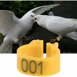 REGALOS 100 Pièces Anneaux De Poule, Anneaux D'Oiseau Anneaux De Pigeon De Volaille En Plastique Pour Poussins Canards (Jaune) 7 REGALOS 100 Pièces Anneaux De Poule, Anneaux D'Oiseau Anneaux De Pigeon De Volaille En Plastique Pour Poussins Canards (Jaune) -Polire Soldes Boutique 61660424 3