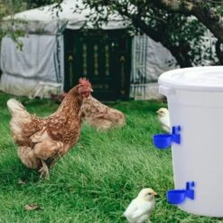 REGALOS Lot De 6 Abreuvoirs Automatiques 3/8", Abreuvoirs Automatiques Pour Poulet, Abreuvoirs Poulet Canard Dinde (bleu) -Polire Soldes Boutique 61660473 5