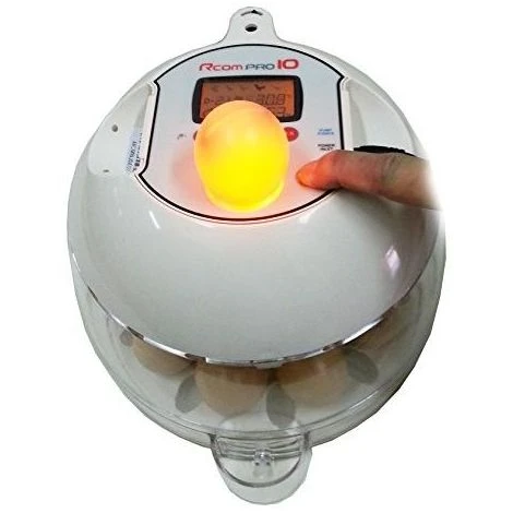 R-COM Couveuse RCOM 10 PRO PLUS 2 R-COM Couveuse RCOM 10 PRO PLUS – Image 2