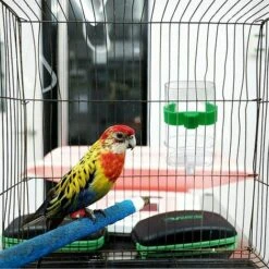 FOZIY 2 X Distributeur D'eau Pour Oiseaux Mangeoire Automatique Abreuvoir Pour Oiseaux Abreuvoir Pour Oiseaux，Fonepro -Polire Soldes Boutique 63841774 4