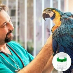 FOZIY 2 X Distributeur D'eau Pour Oiseaux Mangeoire Automatique Abreuvoir Pour Oiseaux Abreuvoir Pour Oiseaux，Fonepro -Polire Soldes Boutique 63841774 5