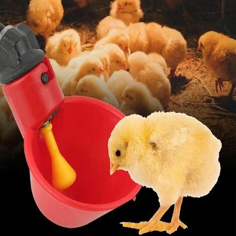 LITZEE BCC 6PCS Volaille Les Buveurs,Volaille Automatique Abreuvoir Portable,avec Tasses D'arrosage Tasses Bols Plastique Rouge Jardin Poulet Flock Duck Bird Feeder,pour Canard Pigeon Poule Oiseaux Red 4 LITZEE BCC 6PCS Volaille Les Buveurs,Volaille Automatique Abreuvoir Portable,avec Tasses D'arrosage Tasses Bols Plastique Rouge Jardin Poulet Flock Duck Bird Feeder,pour Canard Pigeon Poule Oiseaux Red – Image 4