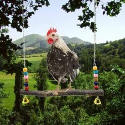 BAICCCF Accessoire Poulailler Lot De 2 Jouets De Balançoire De Poulet En Bois Naturel, Jouet De Support En Bois De Poulet, Accessoires De Poulailler, Jouet De Balançoire De Perruche De Poulet Pour Poules De Poulet, Perruche, Entraînement D'oiseaux -Polire Soldes Boutique 64107295 4