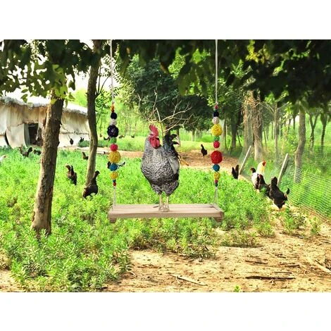 BAICCCF Accessoire Poulailler Balançoire De Poulet Perchoir De Poulet Support En Bois De Poulet Poulailler Fait à La Main Jouet Pour Poules Accessoires De Poulailler échelle De Poulet Pour La Course De Volaille Grand Oiseau Perroquet Poule Ara Coq Poussin Jouet 5 BAICCCF Accessoire Poulailler Balançoire De Poulet Perchoir De Poulet Support En Bois De Poulet Poulailler Fait à La Main Jouet Pour Poules Accessoires De Poulailler échelle De Poulet Pour La Course De Volaille Grand Oiseau Perroquet Poule Ara Coq Poussin Jouet – Image 5