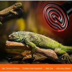 CARILLONSàVENT 100W Émetteur Radiateur Animaux Ampoule Infrarouge Chauffage En Céramique,Lampe De Reptile Pour Amphibiens, Serpent, Oiseaux,Tortue, Chat, Chien Carivent 8 CARILLONSàVENT 100W Émetteur Radiateur Animaux Ampoule Infrarouge Chauffage En Céramique,Lampe De Reptile Pour Amphibiens, Serpent, Oiseaux,Tortue, Chat, Chien Carivent -Polire Soldes Boutique 64138912 4