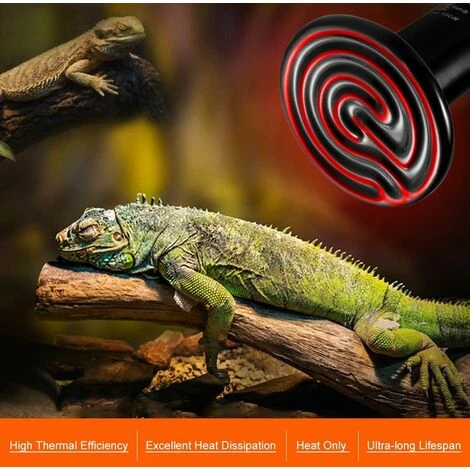 CARILLONSàVENT 100W Émetteur Radiateur Animaux Ampoule Infrarouge Chauffage En Céramique,Lampe De Reptile Pour Amphibiens, Serpent, Oiseaux,Tortue, Chat, Chien Carivent 4 CARILLONSàVENT 100W Émetteur Radiateur Animaux Ampoule Infrarouge Chauffage En Céramique,Lampe De Reptile Pour Amphibiens, Serpent, Oiseaux,Tortue, Chat, Chien Carivent – Image 4