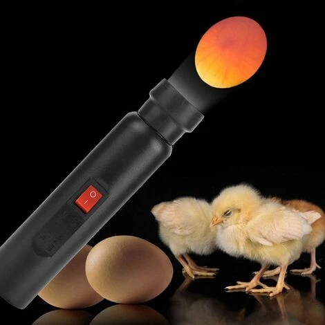 CARILLONSàVENT Mire Oeuf Lampe Mire Oeuf Testeur D'oeufs, Lumière LED Pour Vérifier L’Incubation D’Oeuf Portable Incubateur D'oeufs De Cane Lampe De Poche Batterie Pour Volaille Carivent 2 CARILLONSàVENT Mire Oeuf Lampe Mire Oeuf Testeur D'oeufs, Lumière LED Pour Vérifier L’Incubation D’Oeuf Portable Incubateur D'oeufs De Cane Lampe De Poche Batterie Pour Volaille Carivent – Image 2